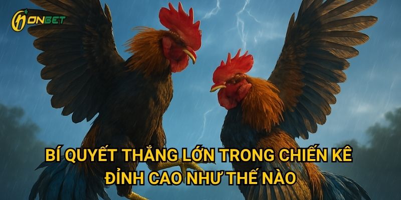Bí quyết thắng lớn trong Chiến Kê Đỉnh Cao như thế nào?