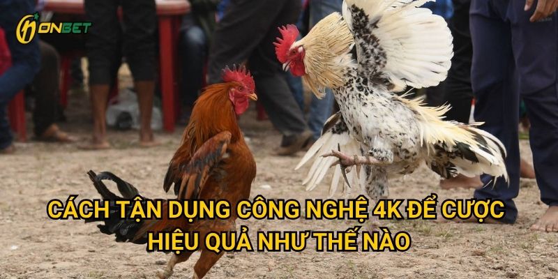 Cách tận dụng công nghệ 4K để cược hiệu quả như thế nào?