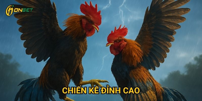 Những yếu tố nào làm Chiến Kê Đỉnh Cao nổi bật tại Onbet?