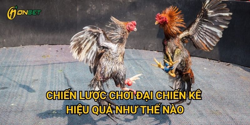 Chiến lược chơi Đại Chiến Kê hiệu quả như thế nào?