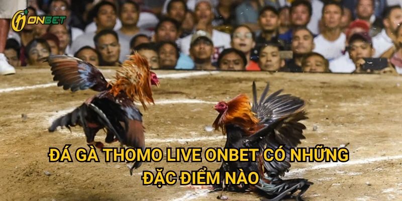 Đá Gà Thomo Live Onbet có những đặc điểm nào?