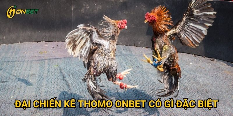 Đại Chiến Kê Thomo Onbet có gì đặc biệt?