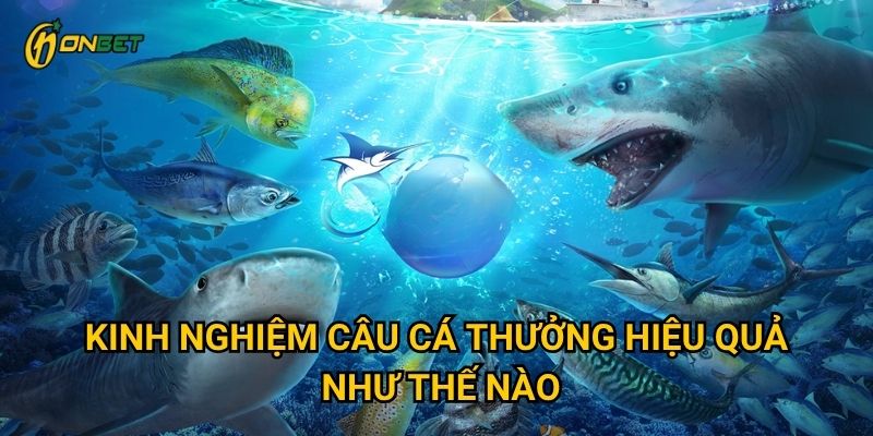 Kinh nghiệm câu cá thưởng hiệu quả như thế nào?