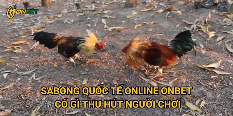 Sabong Quốc Tế Online Onbet có gì thu hút người chơi?