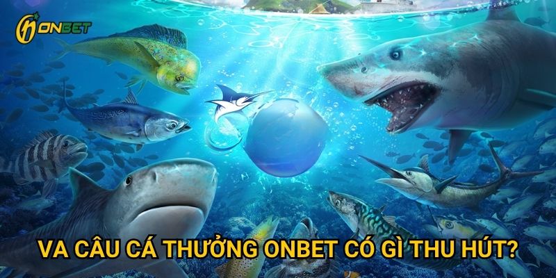 VA câu cá thưởng Onbet có gì thu hút?