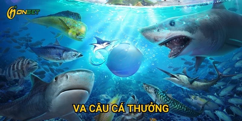 Tại sao VA câu cá thưởng lại thu hút người chơi Onbet?